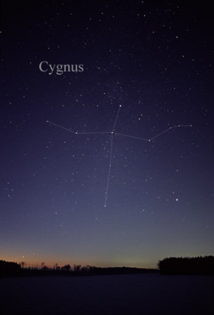 The constellation Cygnus as seen by the naked eye